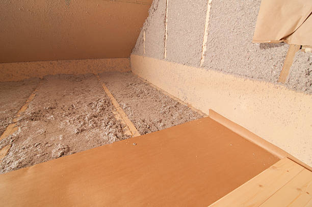 Best Garage Insulation Installation  in Santee, SC