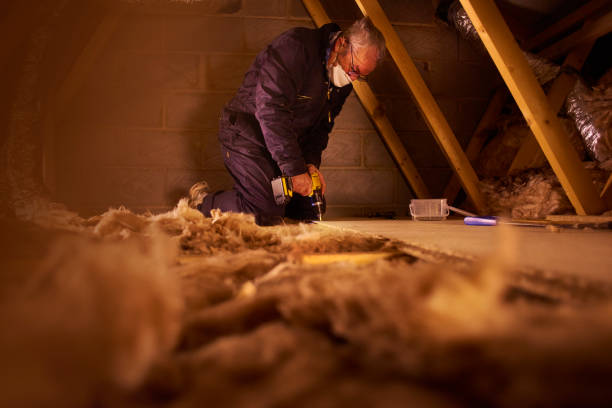 Best Spray Foam Insulation  in Santee, SC